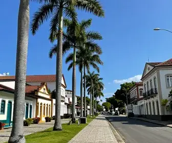 Alameda Duque de Caxias: Conheça a Rua das Palmeiras em Blumenau Alameda Duque de Caxias: Conheça a Rua das Palmeiras em Blumenau