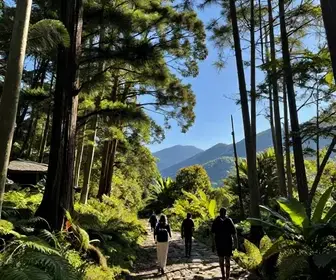 Aventuras em Trilhas: Explorando as Belezas Naturais de Blumenau