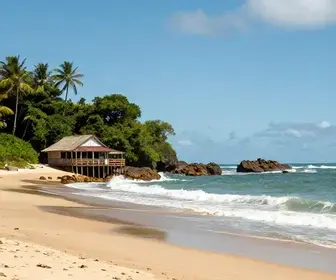 Descubra as Melhores Praias Próximas de Blumenau Descubra as Melhores Praias Próximas de Blumenau