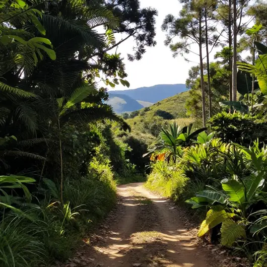 Descubra as Trilhas Patrimônio Descubra as Trilhas Patrimônio