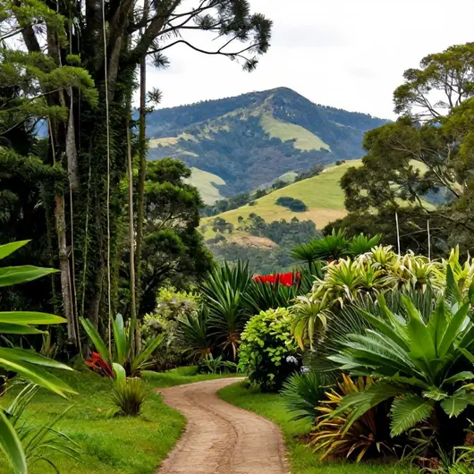 Descubra o Parque Ecológico Spitzkopf