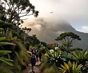 Descubra o Parque Nacional da Serra do Itajaí: Natureza e Aventura em Blumenau Descubra o Parque Nacional da Serra do Itajaí: Natureza e Aventura em Blumenau