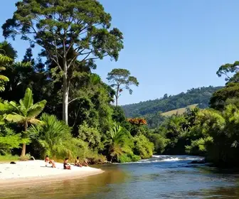 Descubra os Melhores Banhos de Rio em Blumenau: Dicas e Cuidados Essenciais