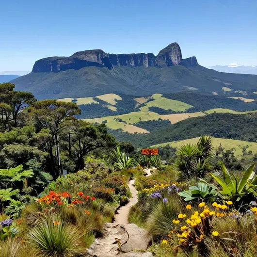 Explorando o Parque Nacional da Serra do Itajaí