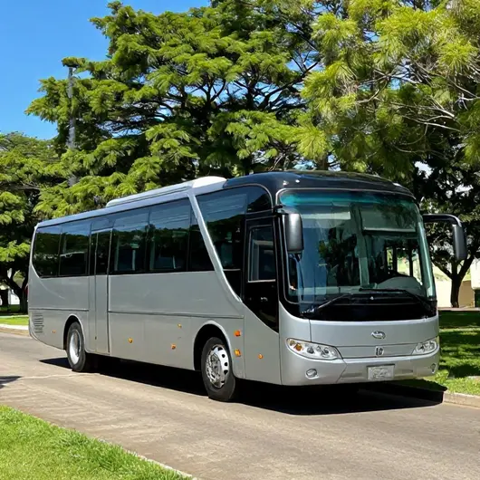 Fretamento de Ônibus L.D.O Turismo