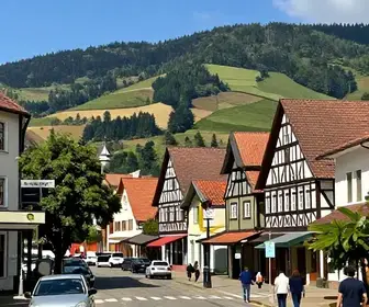 Guia de Transfers em Blumenau: Tudo que Você Precisa Saber Guia de Transfers em Blumenau: Tudo que Você Precisa Saber